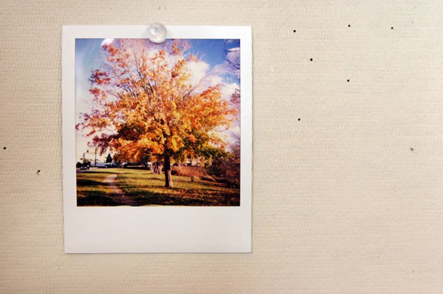 [Fall+Polaroid.jpg]