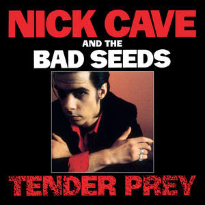 vous écoutez quoi à l\'instant - Page 39 Nick+Cave+%26+The+Bad+Seeds_Tender+Prey_CD+%2B+DVD