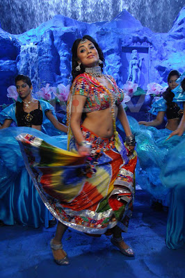 Shreya Saran in Don Seenu film stills Shreya Saran in Don Seenu film stills