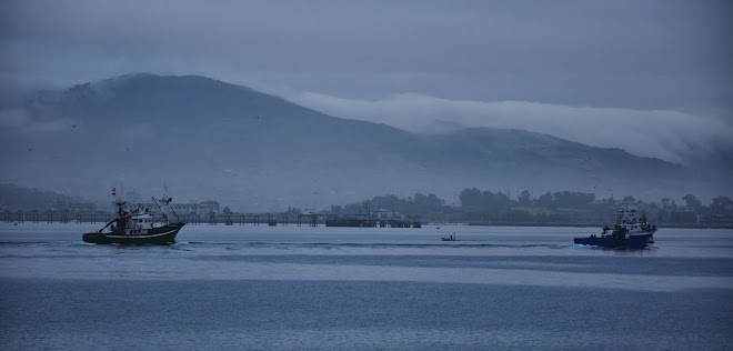 BAHIA DE SANTANDER