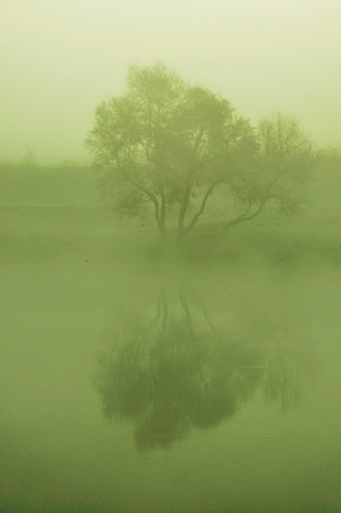 NIEBLA EN TOLEDO