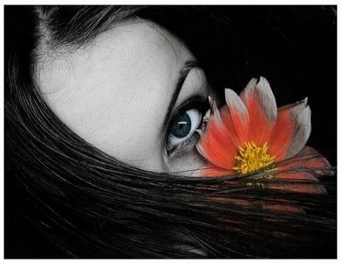 si tu me miras daniela marquez pdf gratis si tu me miras daniela marquez pdf gratis