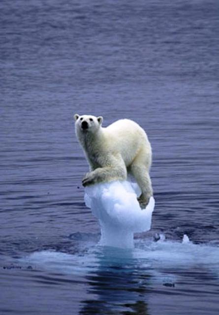 [globalwarming.bmp]