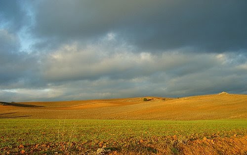 Geografíasauces Clima Mediterráneo Continentalizado