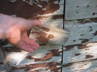 [The_Best_Toilet_in_the_World__3.jpg]