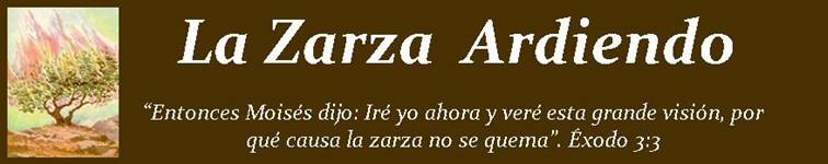 LA ZARZA ARDIENDO