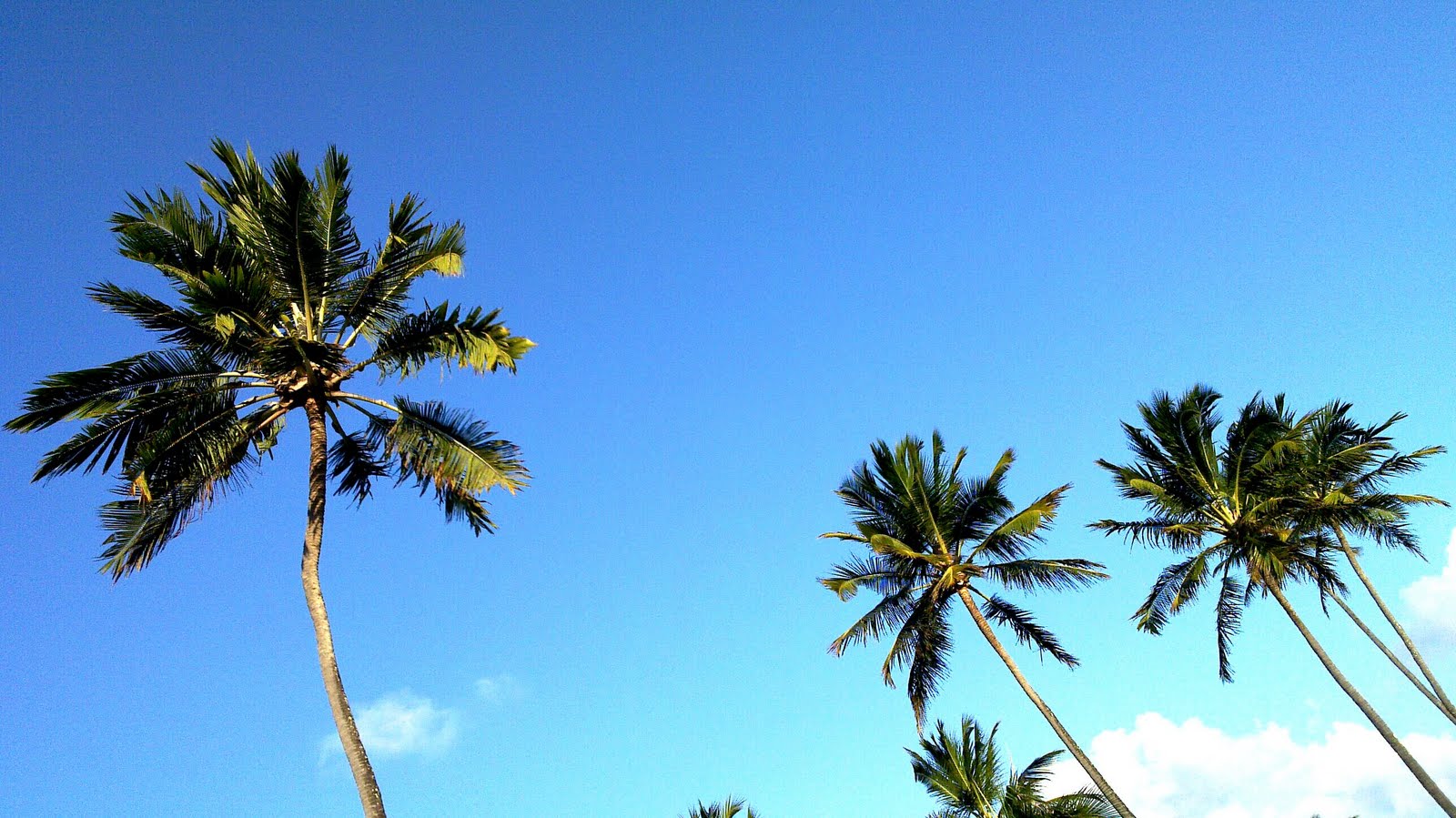 [4247805869_c9368dce2b_o.jpg]