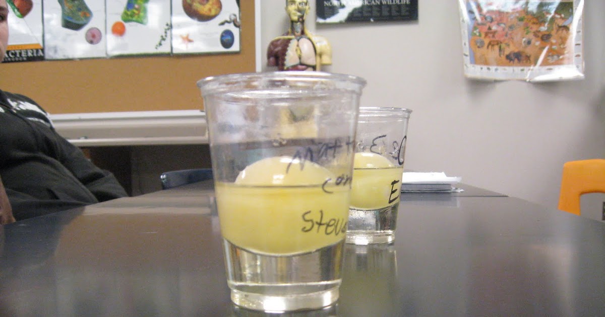 7C Science Osmosis Lab