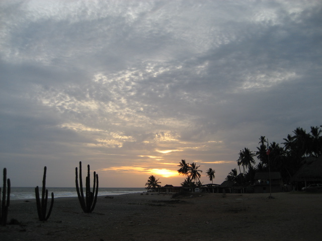[IMG_1590.jpg]