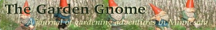 The Garden Gnome