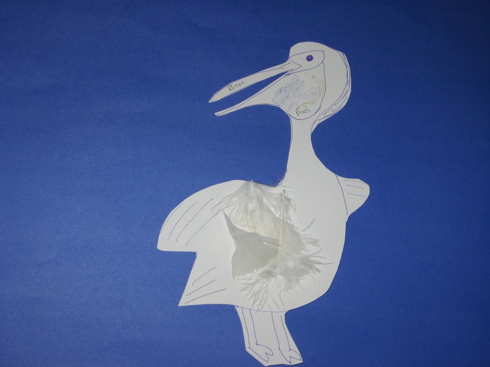 Preschool Learning Ideas Pelican Bird Craft Project