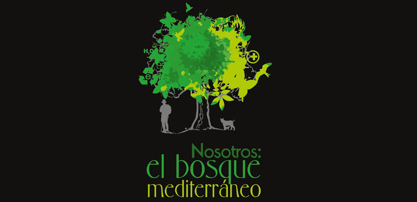 Nosotros: el bosque mediterráneo