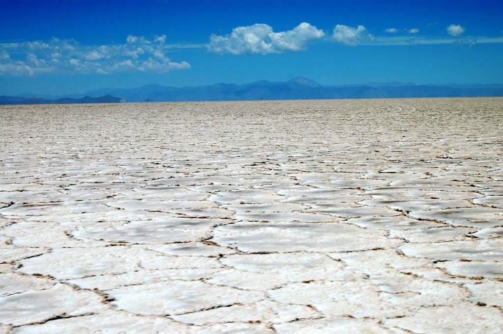[Salta+Salinas+028.JPG]
