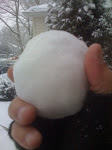 I Throw This Snowball At U!