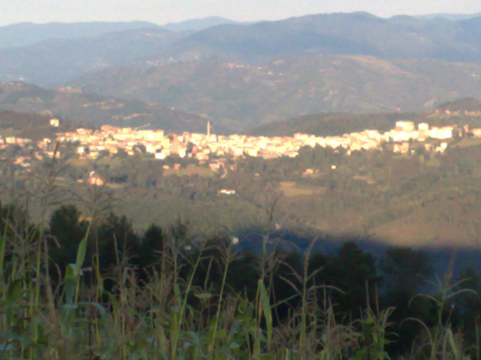 YUKARI YAYLACIK MAHALLESİ KORGAN ORDU