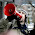 Lápis Vermelho avatar