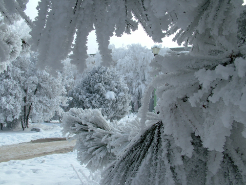 Iarna in Bucuresti