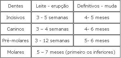[dentes.JPG]