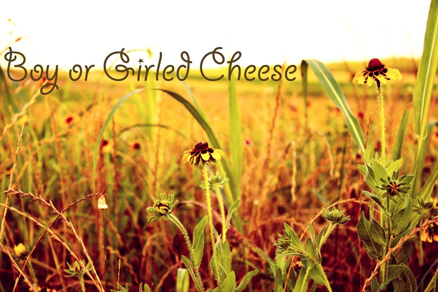Boy or Girled Cheese