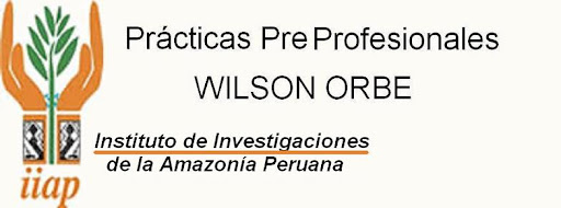 Prácticas Pre profesionales -  Wilson Orbe
