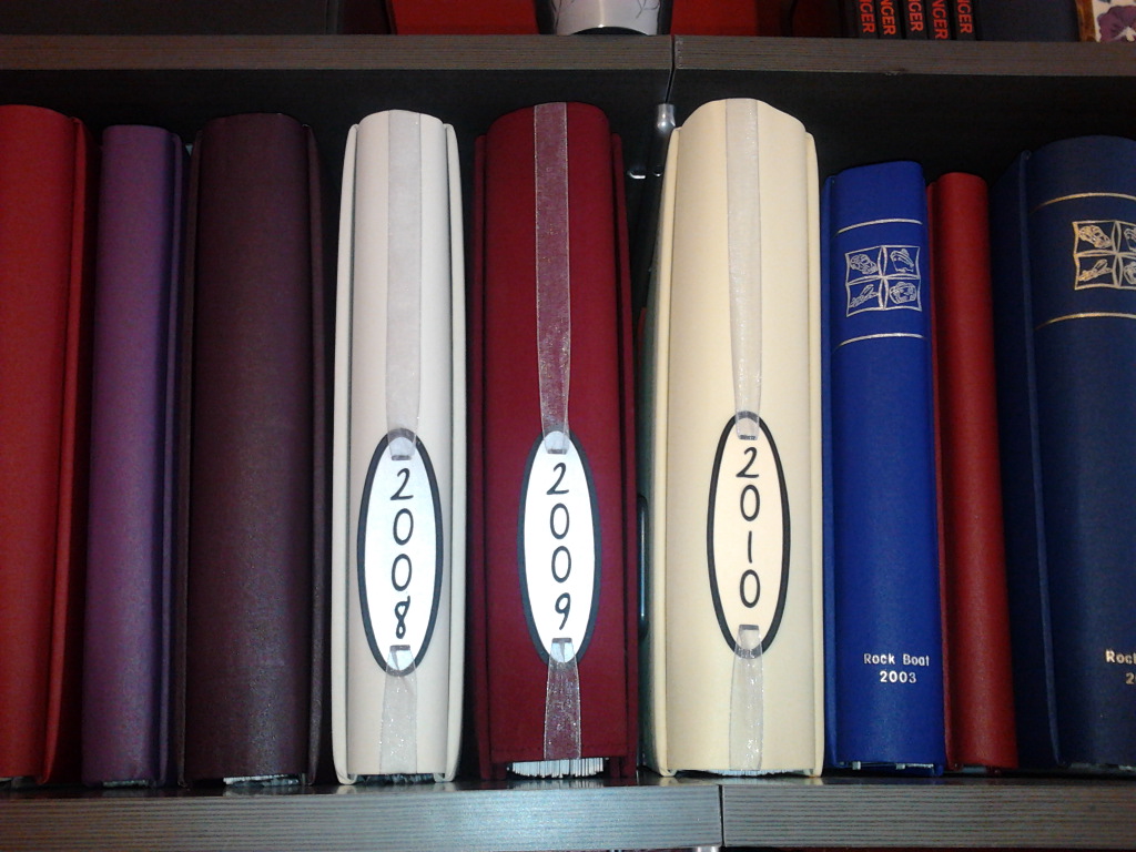 Life of a crafter Create Decorative Scrapbook Spines with Cricut