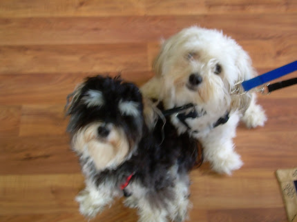 my boys!