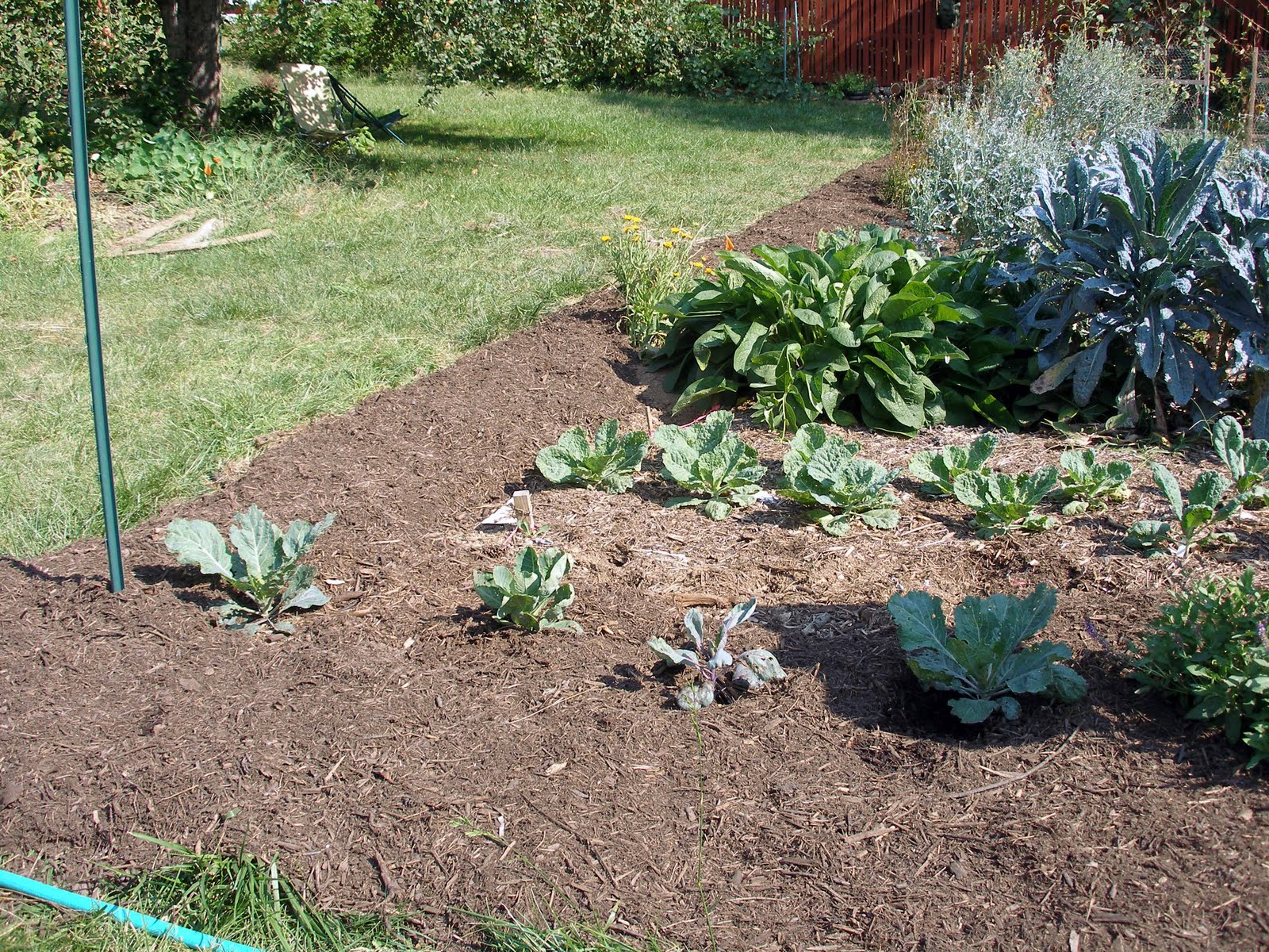 living the frugal life further thoughts on lasagna mulching living the frugal life further thoughts on lasagna mulching