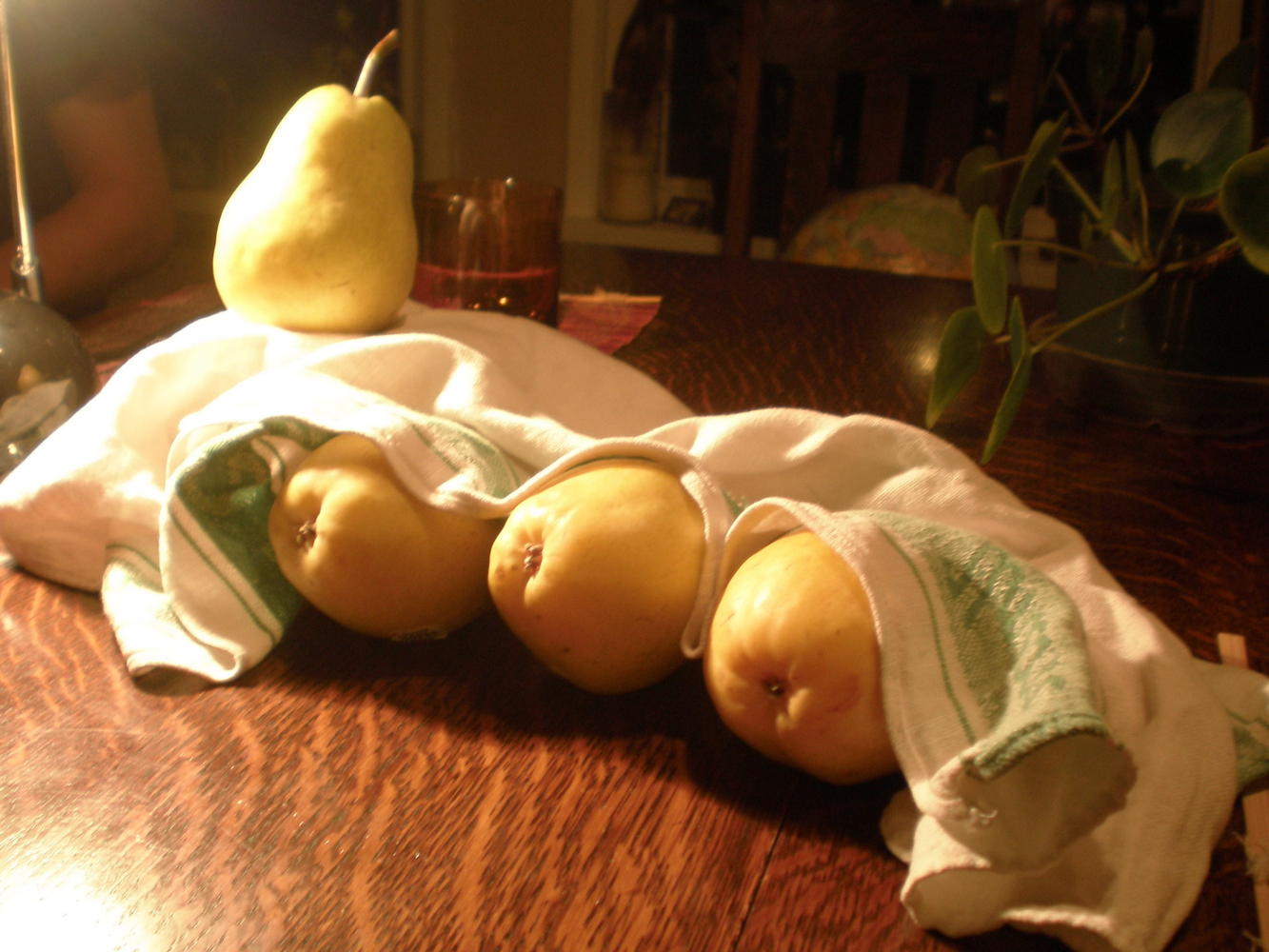 [pears.JPG]