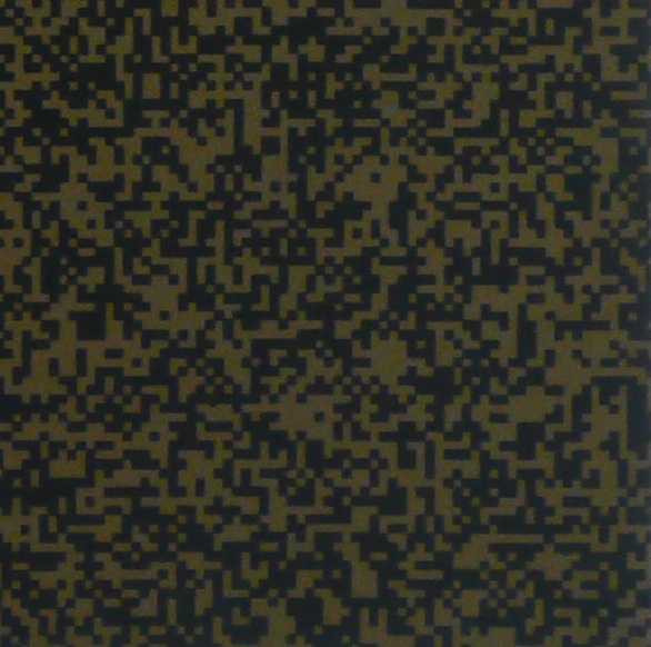 [Morellet-Compressive-Sensing-Pattern-Wavelet-Zoom.jpg]