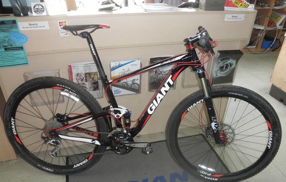 giant anthem x 2010