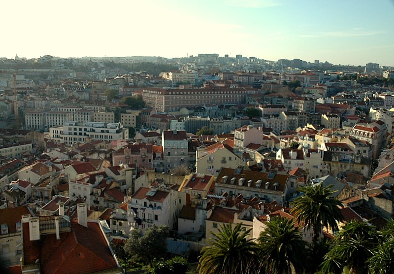 [DSC_3035.JPG]