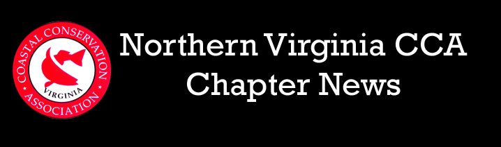 Northern Virginia CCA - Chapter News