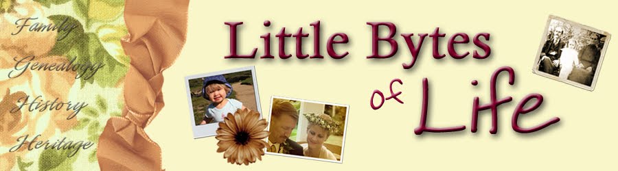Little Bytes of Life