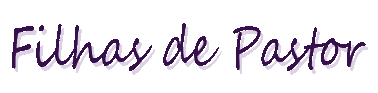 BloggerTheme