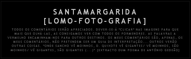 [lomo.bmp]