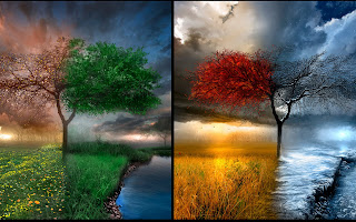 Four Seasons wallpaper
