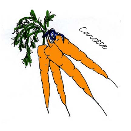 [carrot.jpg]