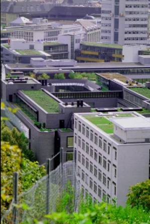[Stuttgart+roofscape.jpg]