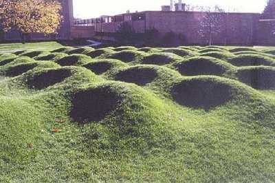 [wavefieldbymayalin.jpg]