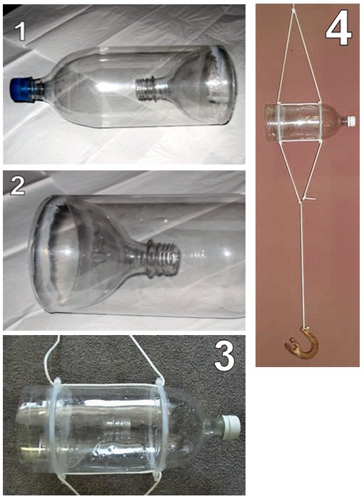 [bottle_traps.jpg]