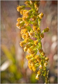 [08garden_2-190.jpg]