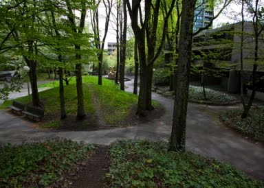 [090429_oscsite_079web.jpg]