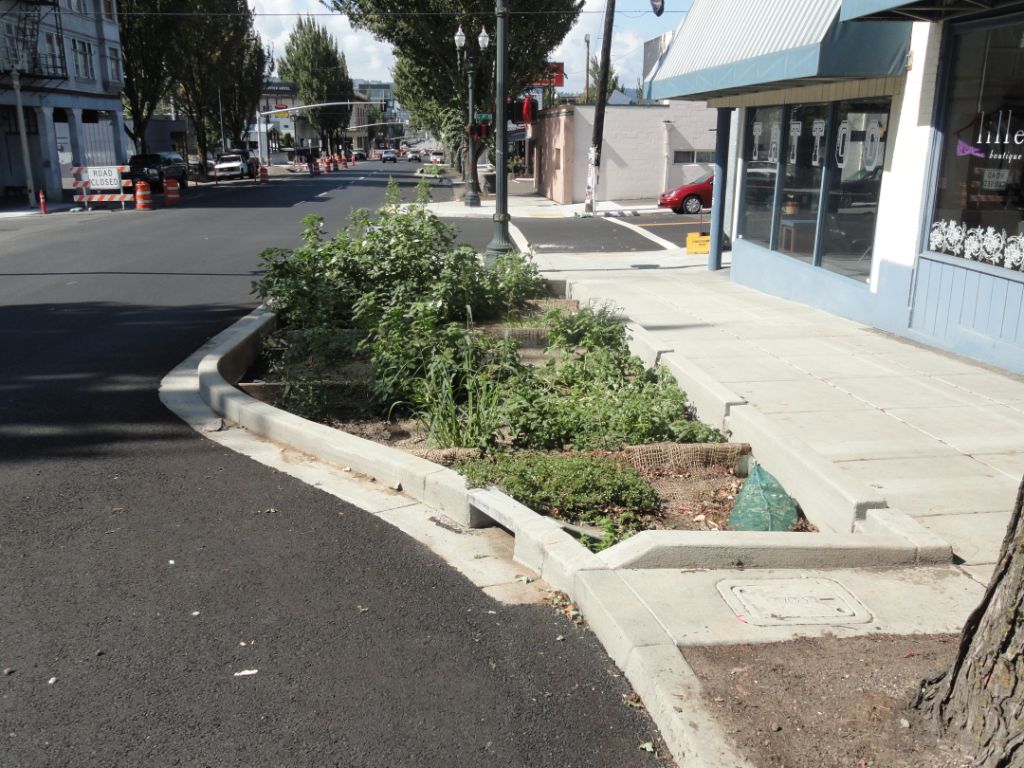 Feral Green Streets Landscape+Urbanism