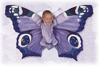 [papillon.jpg]