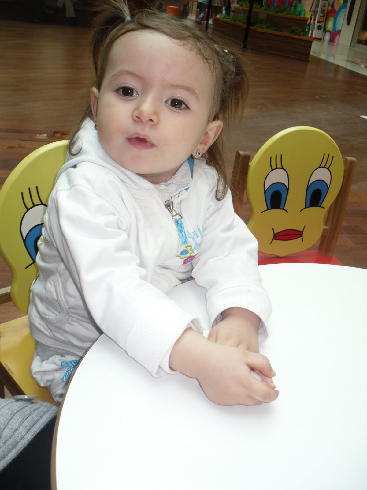 [SDC17824.JPG]