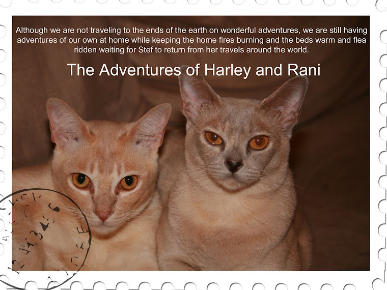 The Adventures of Harley and Rani
