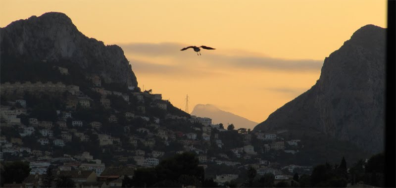 [gaviotas-15.jpg]