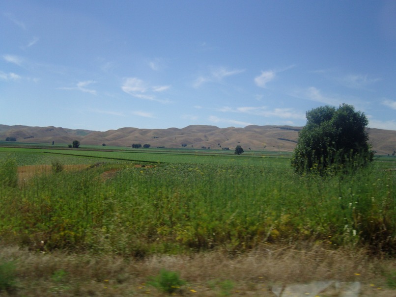 travel world road trip