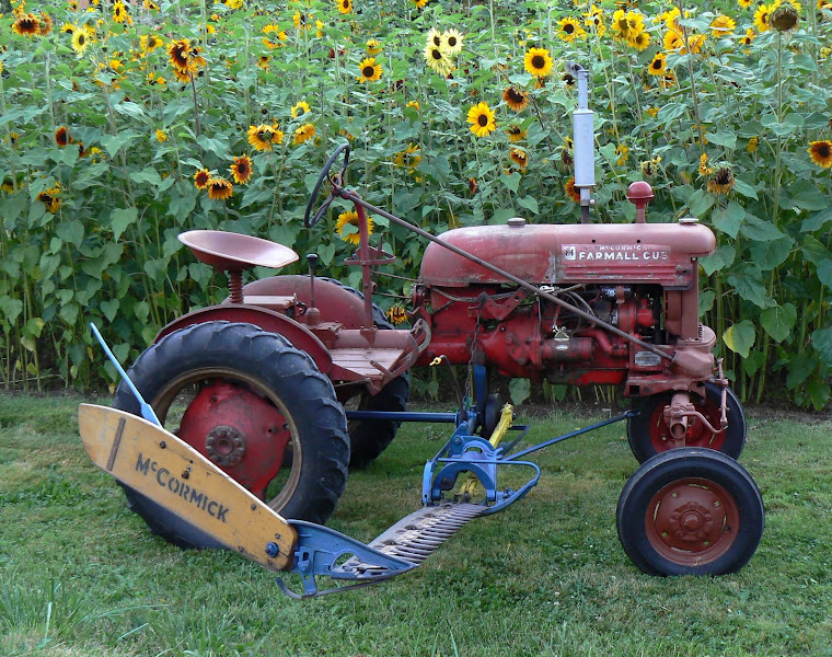 1948 Farmall Cub