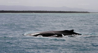 [3407171783_e3bcd45910_o.jpg]